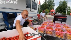 1500元切糕摆摊创业案例研究：大项目的收益预期与实践